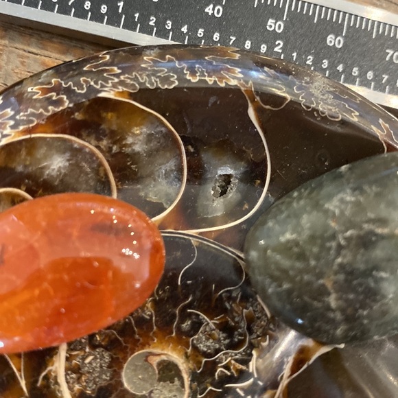 Ammonite fossil dish/bowl - Picture 5 of 5